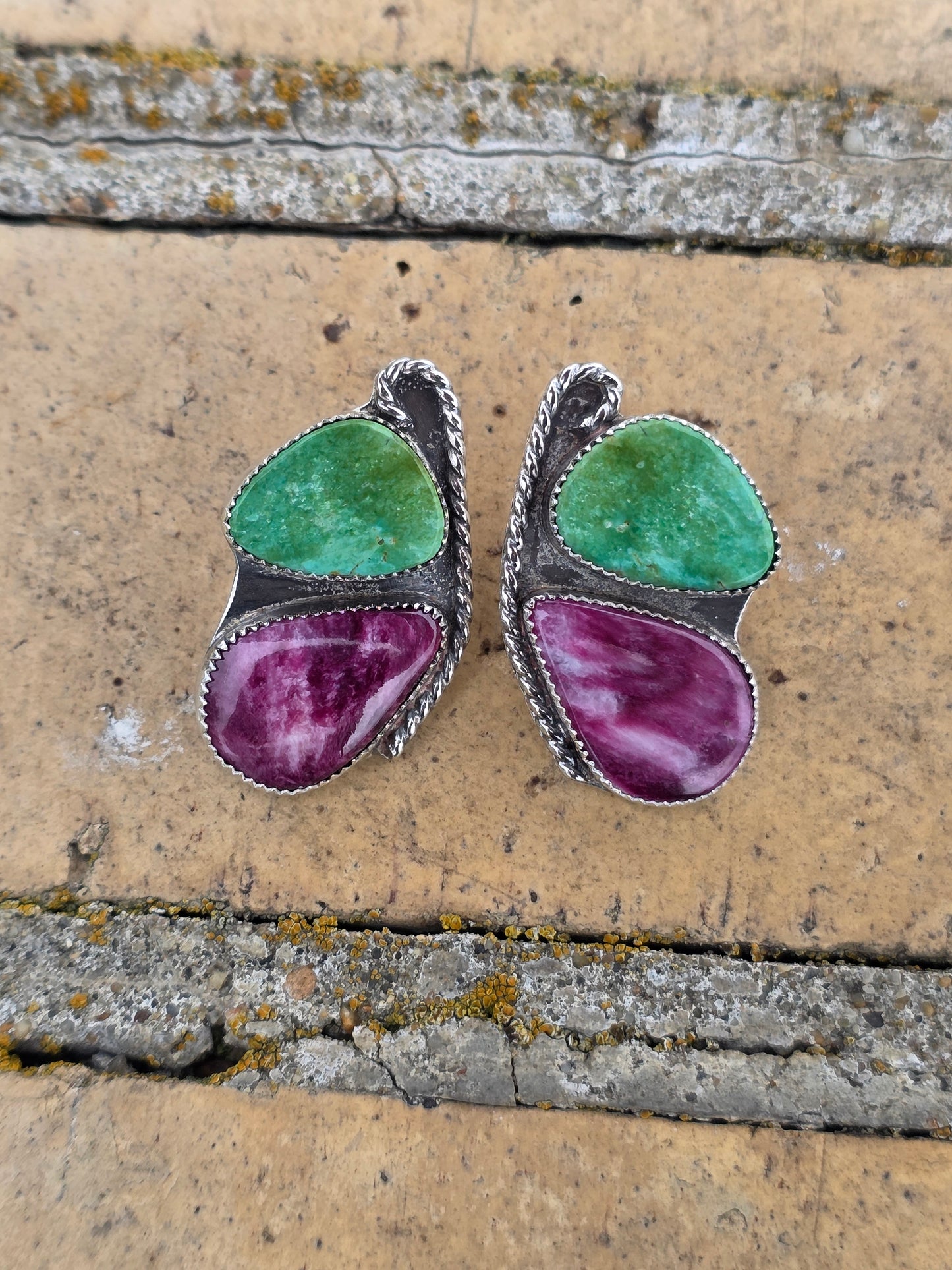 Sonoran & Spiny Butterfly Stud Earrings
