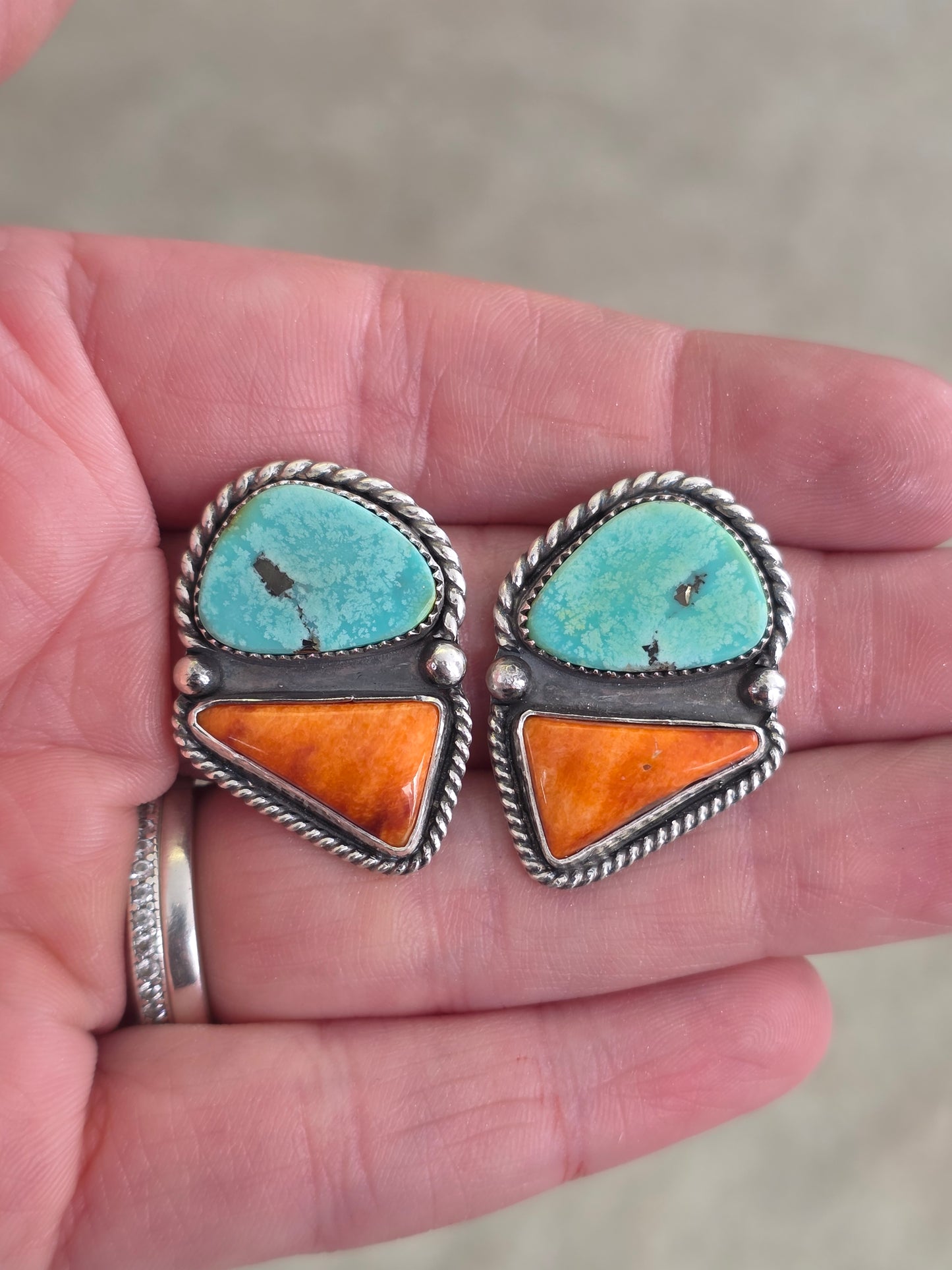 Sonoran & Spiny Earrings