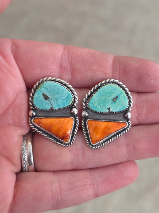 Sonoran & Spiny Earrings