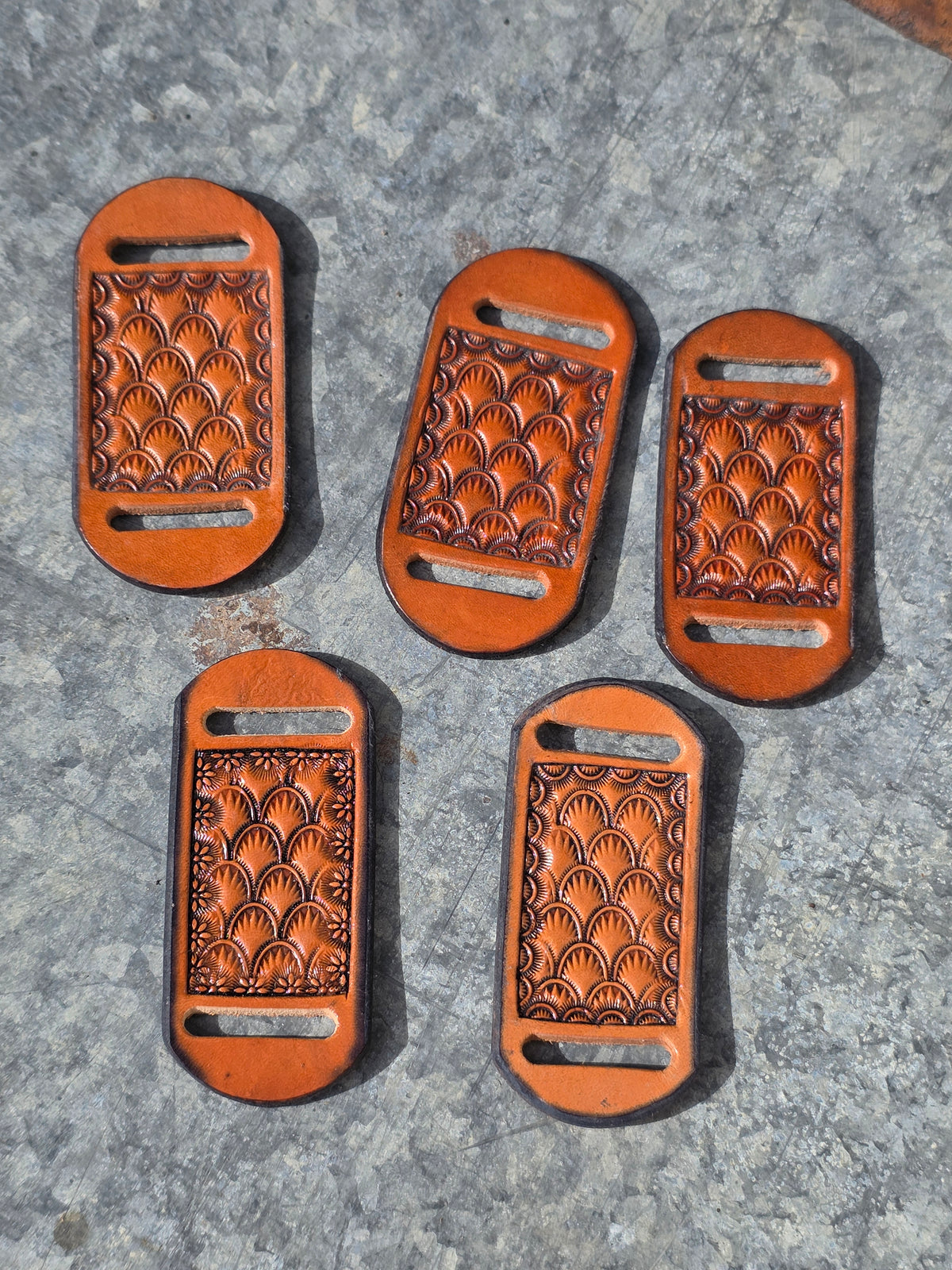 Wild Rag Slides